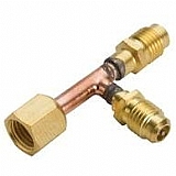 ���� T ����� ��